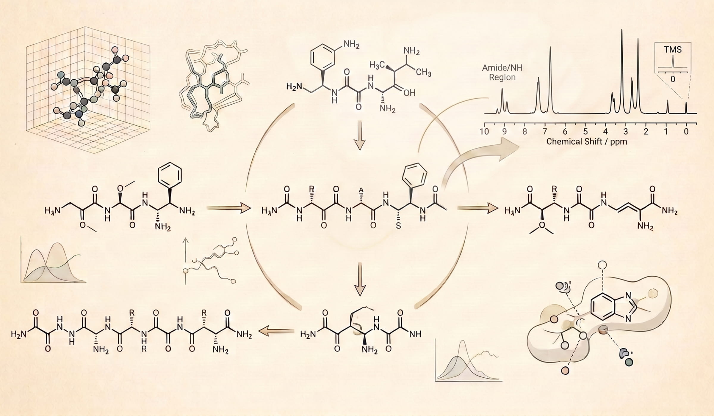 Peptide Structure-Activity Relationships
