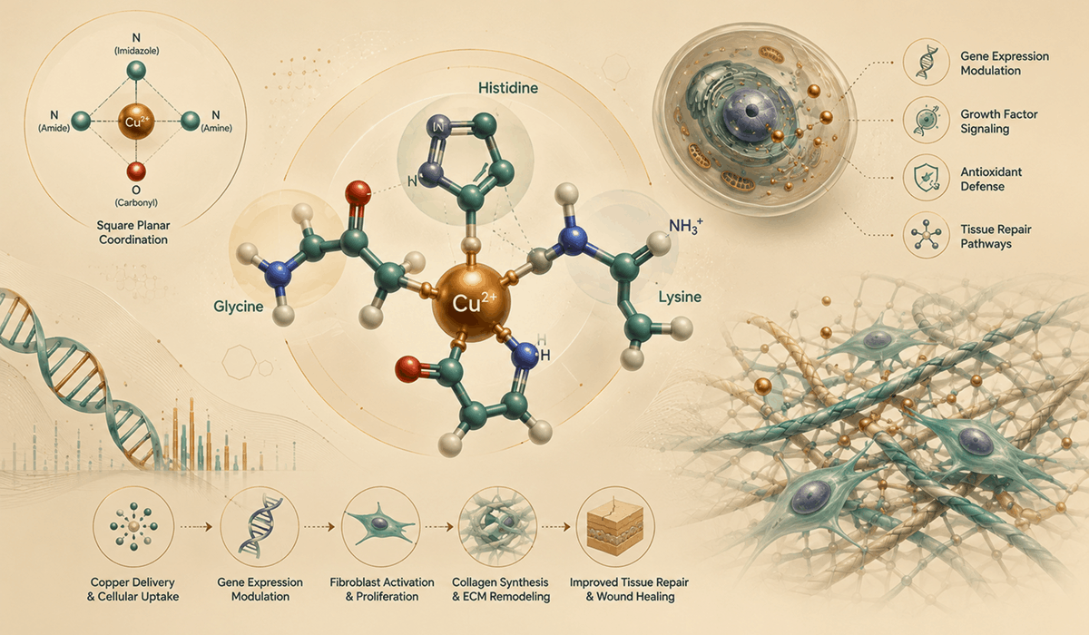 GHK-Cu CopperTripeptide